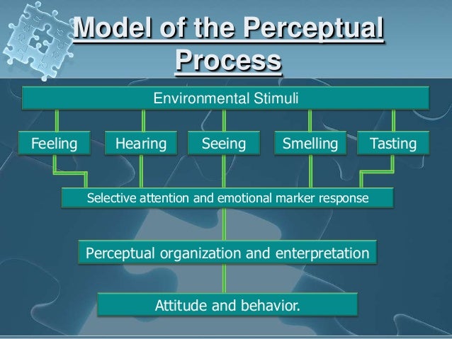 case study on perception pdf solved case study on perception